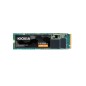 KIOXIA Exceria G2 M2 2000 Gb Pci